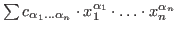 $\sum
c_{\alpha_1\ldots\alpha_n}\cdot x_1^{\alpha_1} \cdot \dots \cdot
x_n^{\alpha_n}$