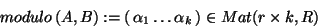 \begin{displaymath}modulo\,(A,B):=(\,\alpha_1\ldots \alpha_k\,)\in Mat(r\times k,R) \end{displaymath}