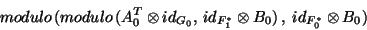 \begin{displaymath}modulo\,(modulo\,(A_0^T \otimes id_{G_0},\,id_{F_1^{\ast}}
\otimes B_0)\,,\:id_{F_0^{\ast }}\otimes B_0) \end{displaymath}