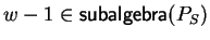 $w- 1 \in {\sf subalgebra}(P_S)$