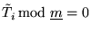 $ \tilde T_i \, \mbox{mod}\; \underline{m} = 0 $