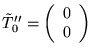 $ \tilde{T}''_0 =
\left(
\begin{array}{c}
0\\
0
\end{array}
\right)$