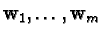 ${\bf w}_1, \ldots, {\bf w}_m$